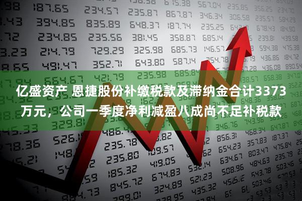 亿盛资产 恩捷股份补缴税款及滞纳金合计3373万元，公司一季度净利减盈八成尚不足补税款