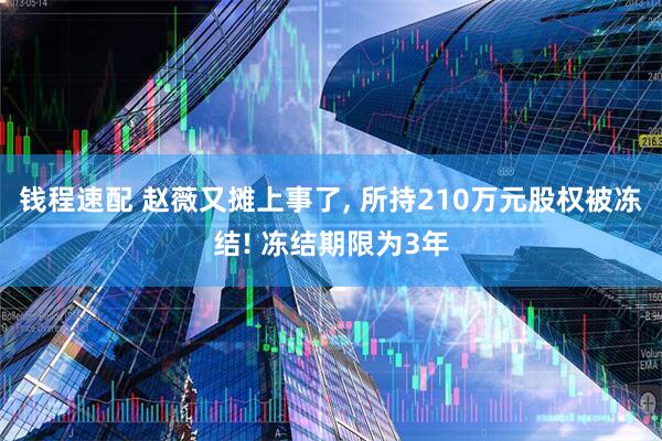 钱程速配 赵薇又摊上事了, 所持210万元股权被冻结! 冻结期限为3年
