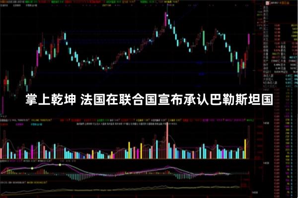 掌上乾坤 法国在联合国宣布承认巴勒斯坦国