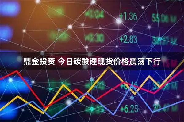 鼎金投资 今日碳酸锂现货价格震荡下行