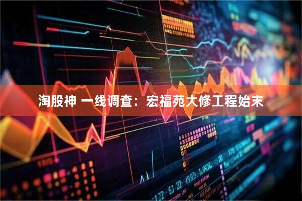淘股神 一线调查：宏福苑大修工程始末