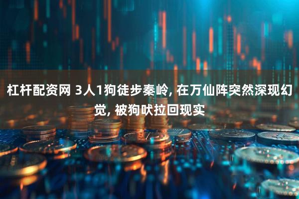 杠杆配资网 3人1狗徒步秦岭, 在万仙阵突然深现幻觉, 被狗吠拉回现实